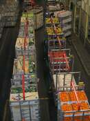 FloraHolland trolleys going for auction