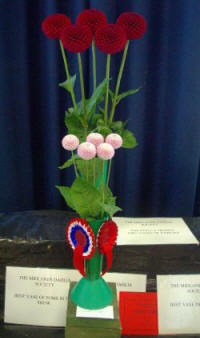Dave Gillam's NDS Silver medal winning entry